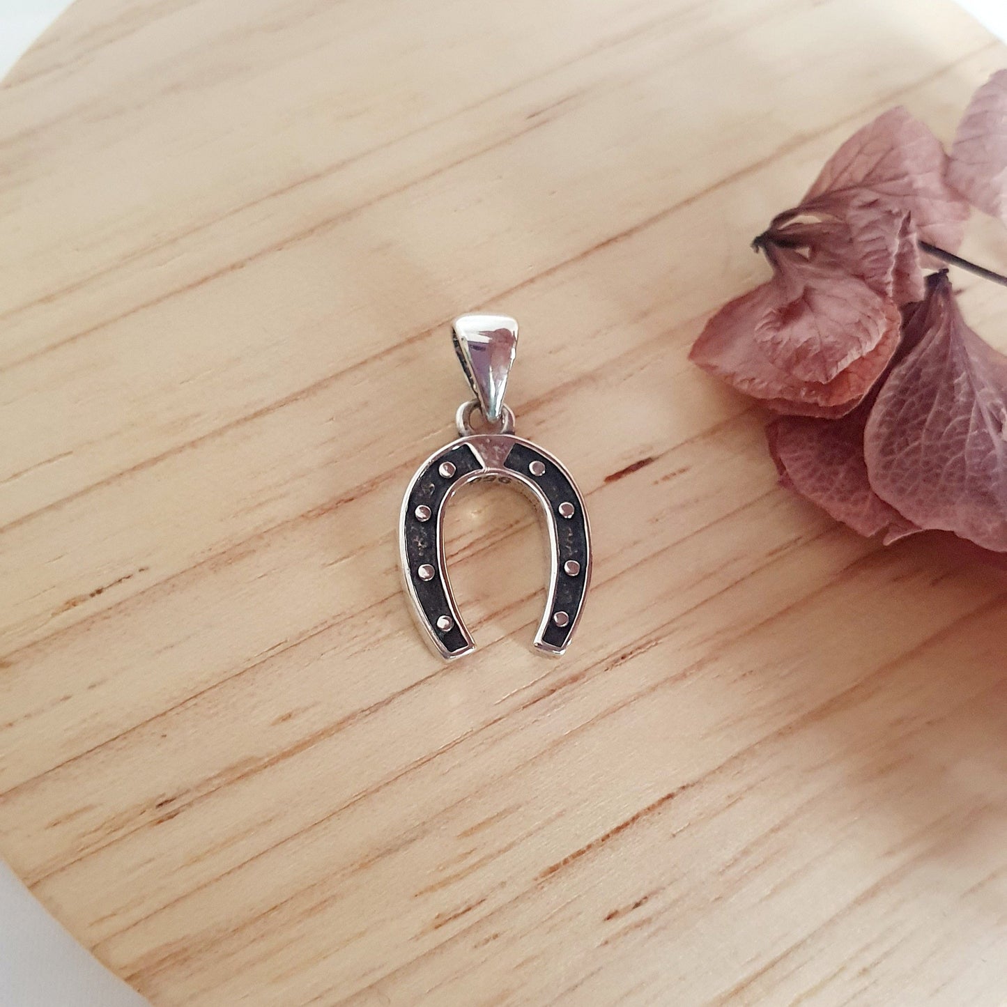 Colgante Plata Herradura