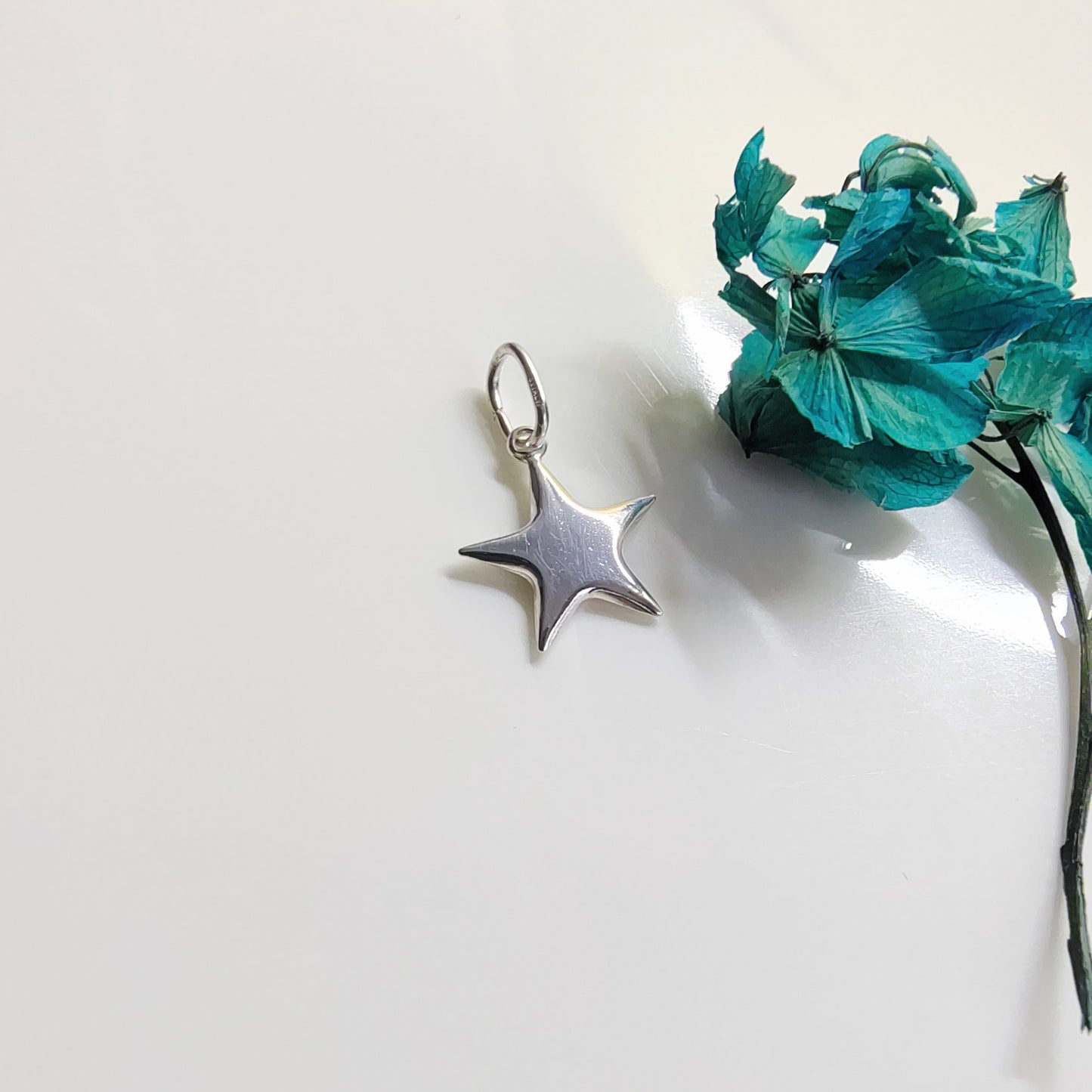 Colgante Plata Estrella
