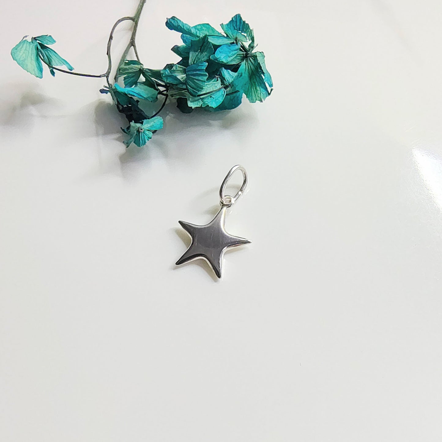 Colgante Plata Estrella