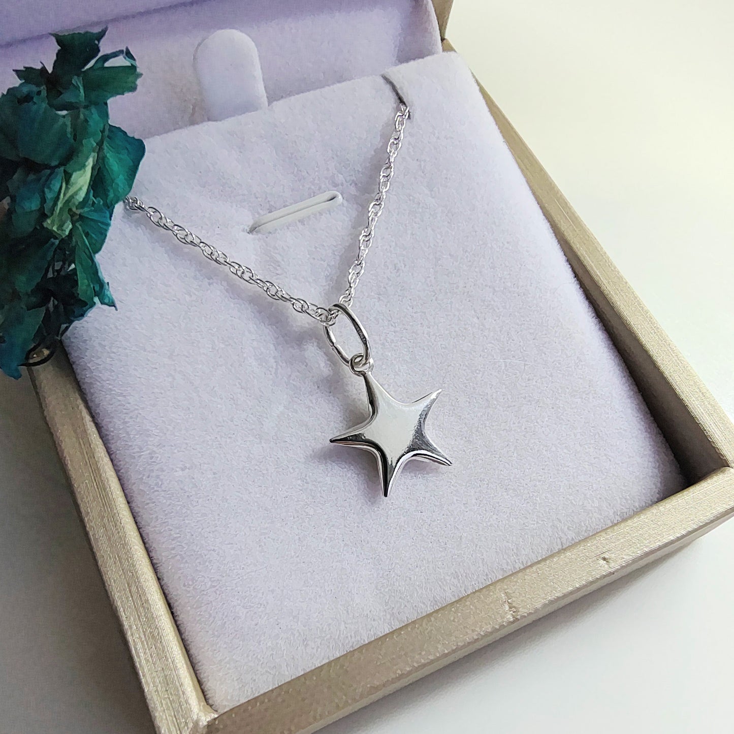 Colgante Plata Estrella