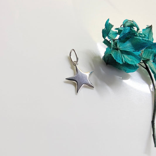 Colgante Plata Estrella